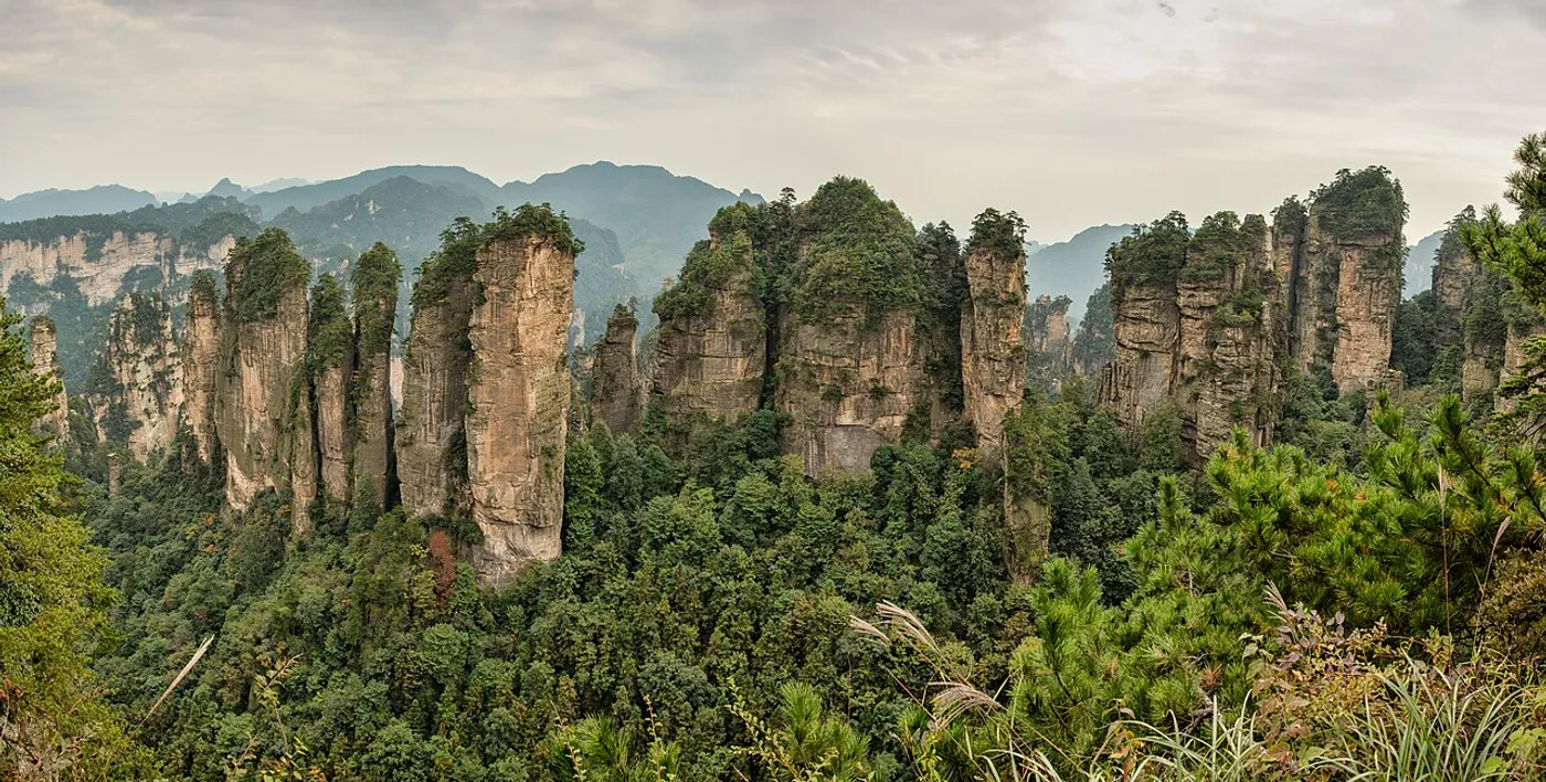 Zhangjiajie Wulingyuan sandstone pillars panorama